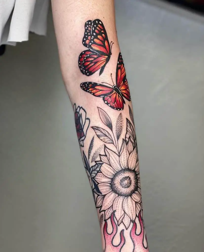 Butterfly and black sunflower