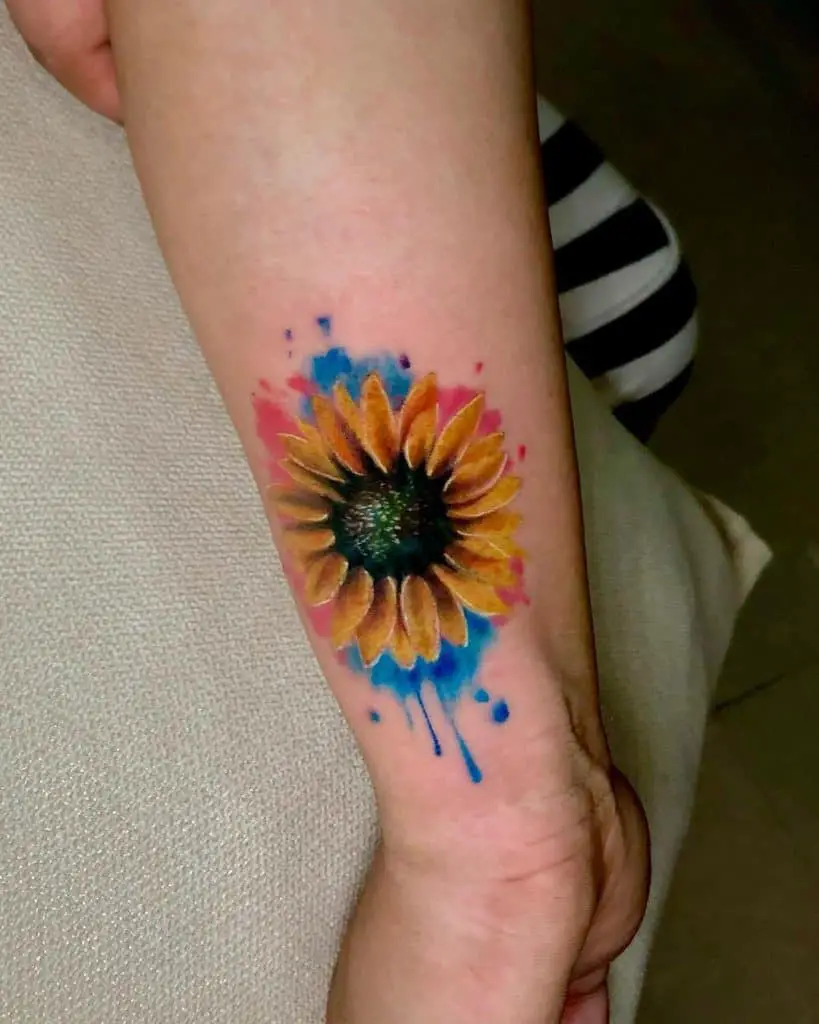 Colorful sunflower