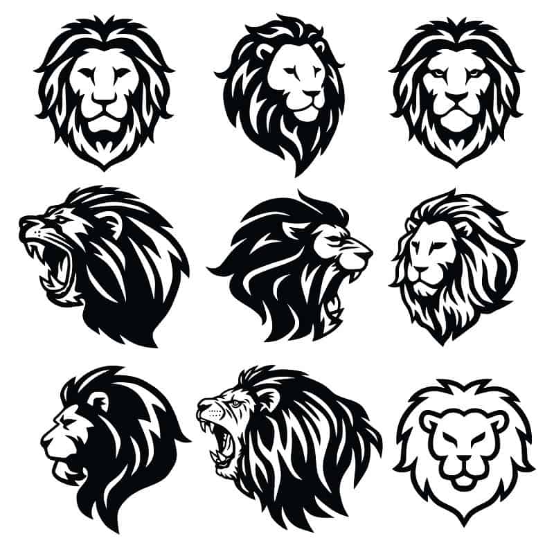 Lion Tattoo Design Explained