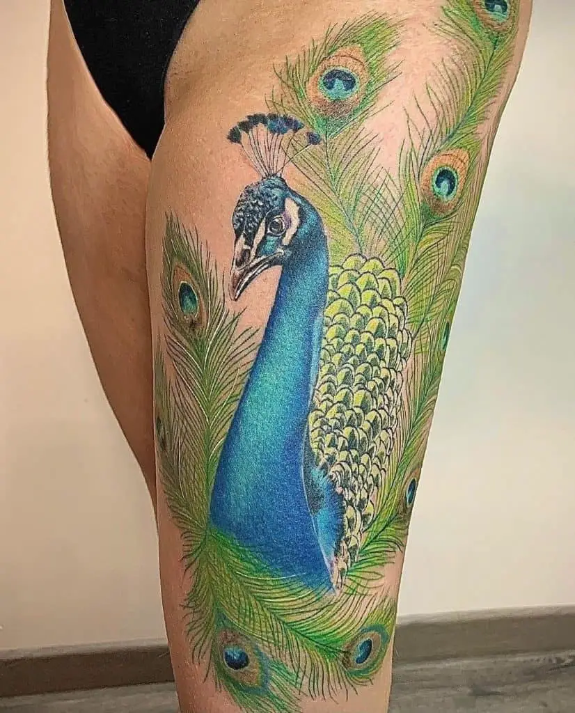 Large Leg Peacock Tattoo Vibrant Idea