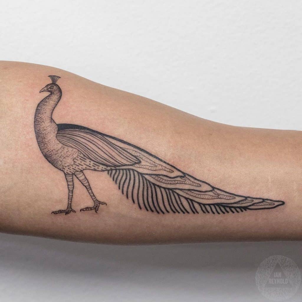 Peacocks Tattoo Black Design
