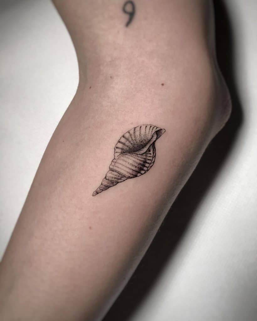 Seashell tattoo with big meanings 2