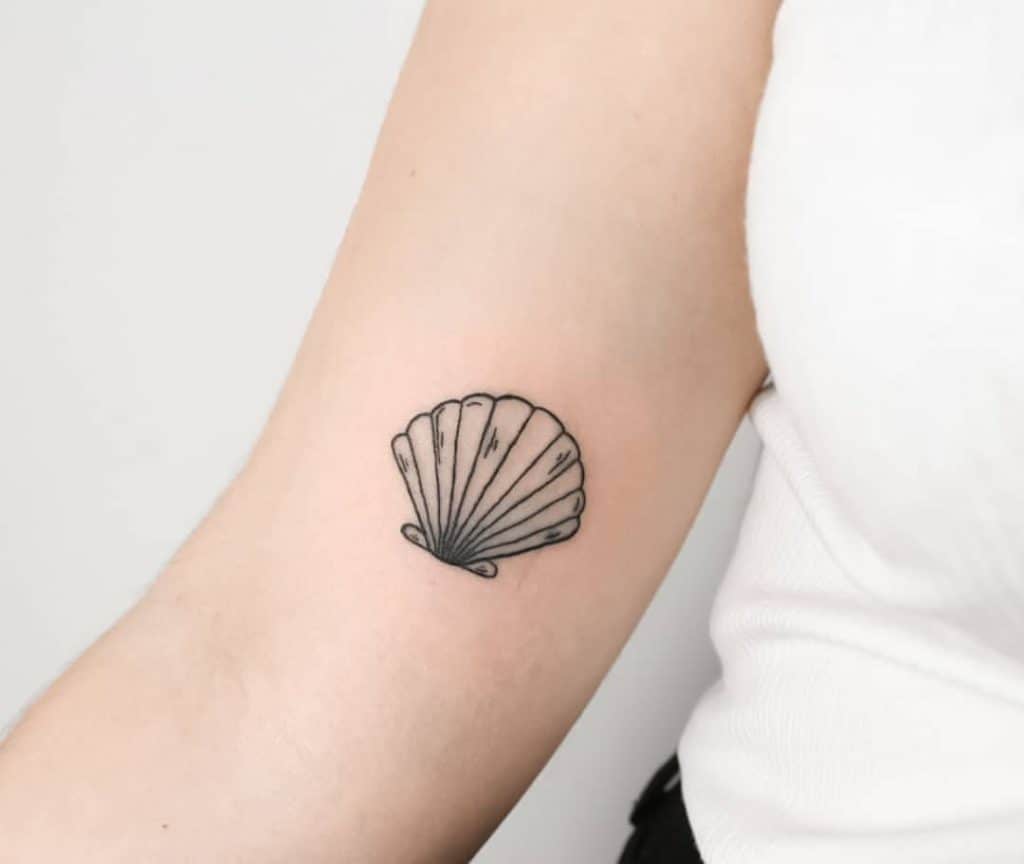 Seashell tattoo with big meanings 5