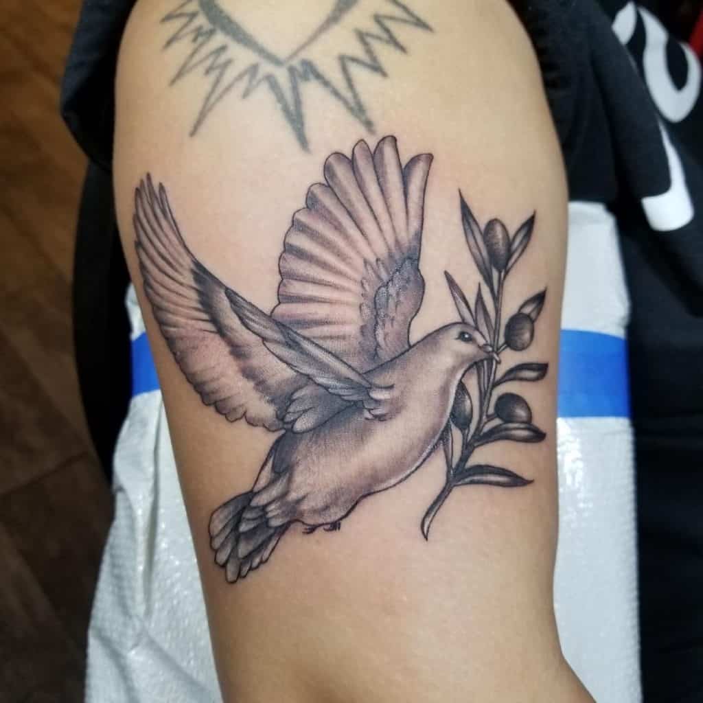 The Dove With Olive Branch Tattoo 1