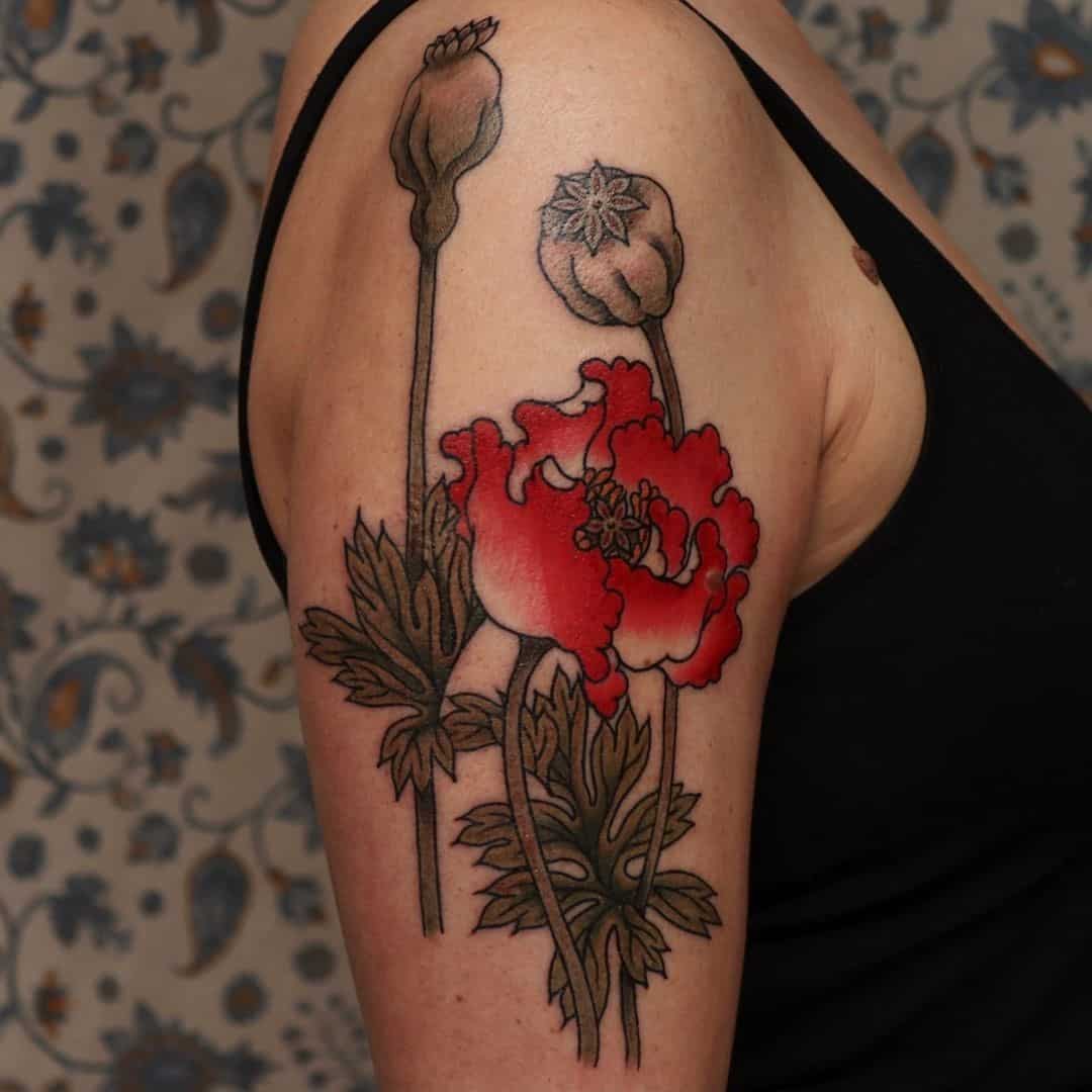 Cute Poppy Flower Tattoo Designs Shoulder Ink