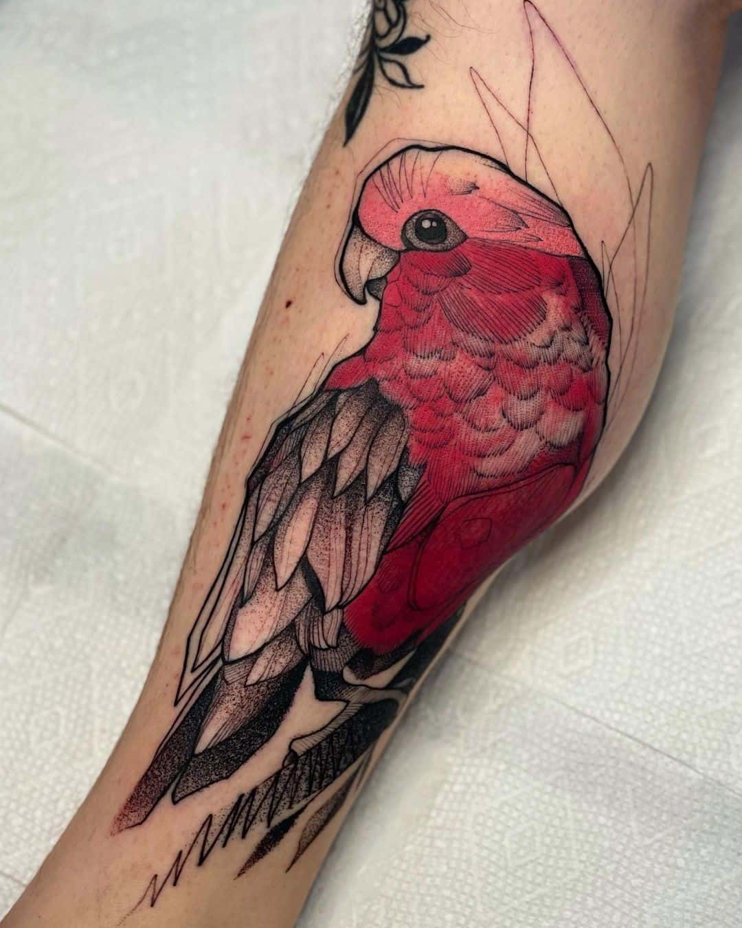Red Parrot Calf Tattoo