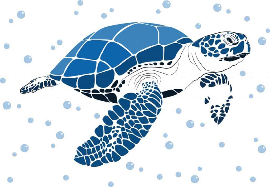 Turtle Tattoo