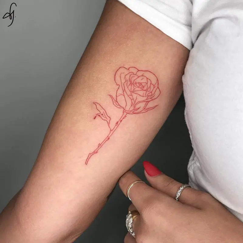 Red Rose Tattoo 5