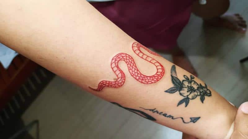 Red Snake Tattoo 6