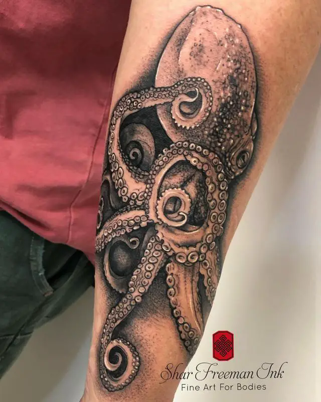 Realistic Octopus Tattoo 1