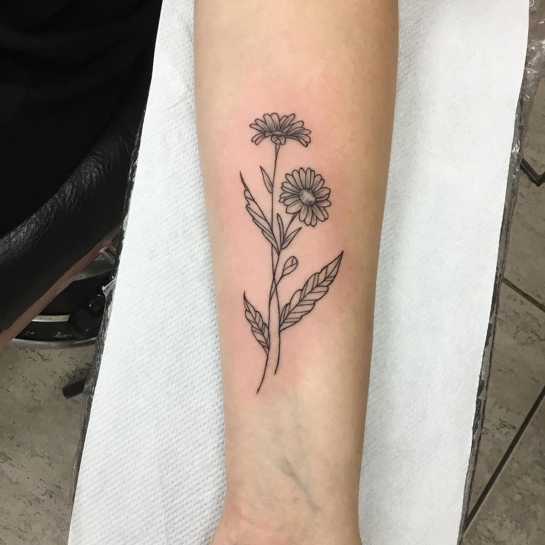Aster Flower Tattoo Designs 