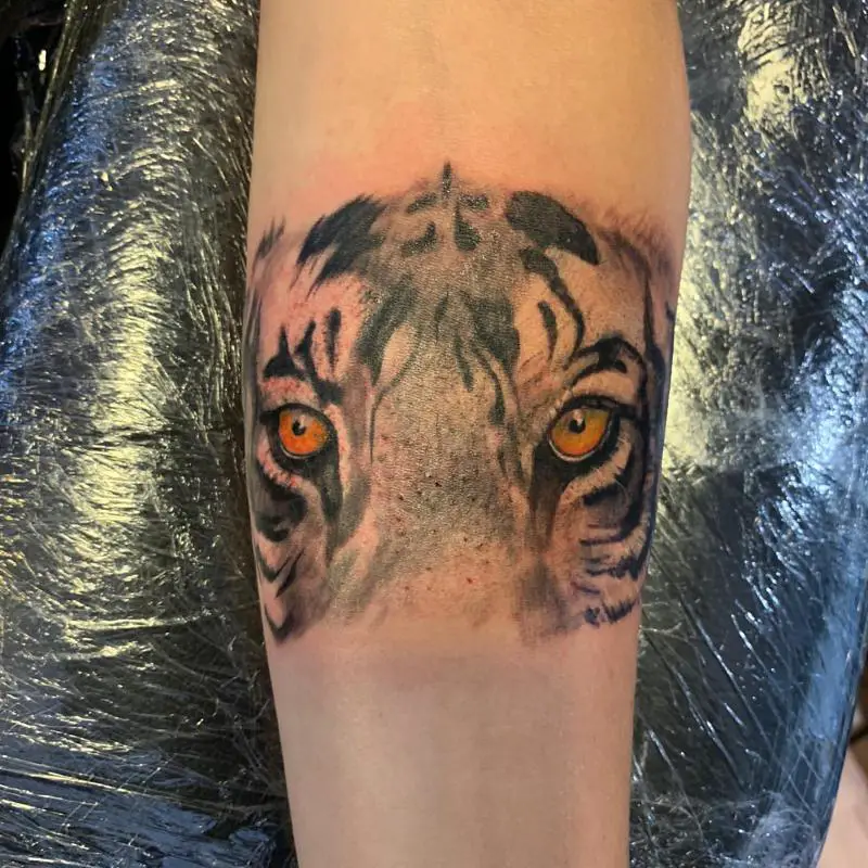 Lion Eyes Tattoo 2