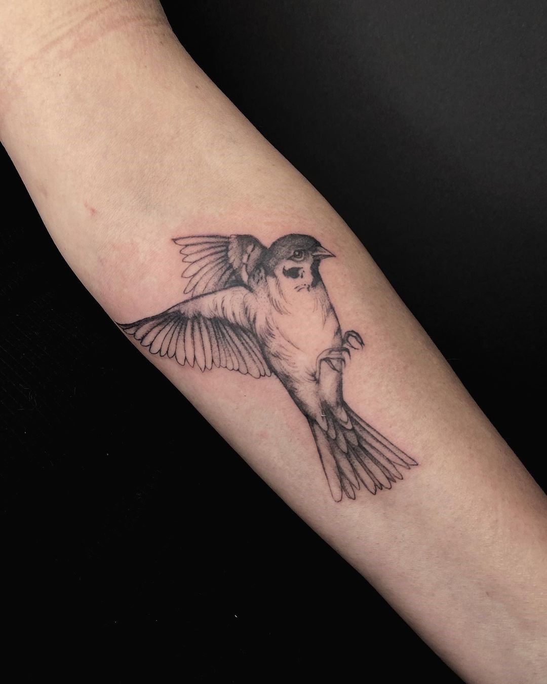 Nobble Sparrow Tattoo 