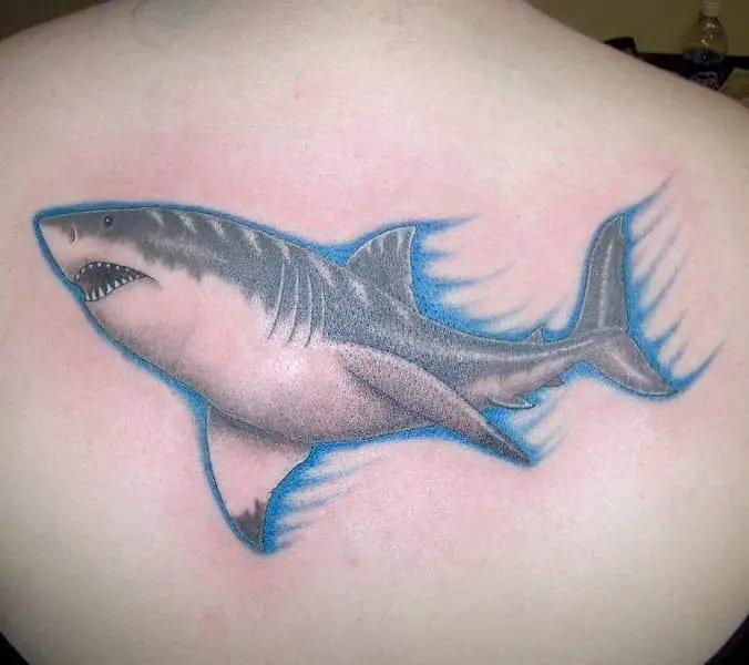 A Shark In Action Tattoo Design