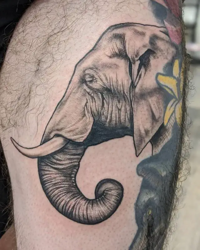African Elephant Tattoo 3