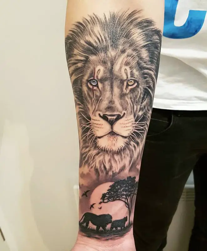  African Lion/Lioness Tattoo 2