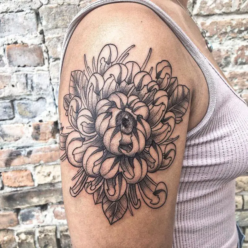 Chrysanthemum Tattoos 2