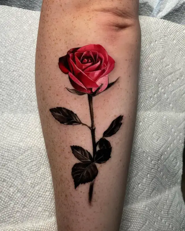 Rose Tattoo on Arm