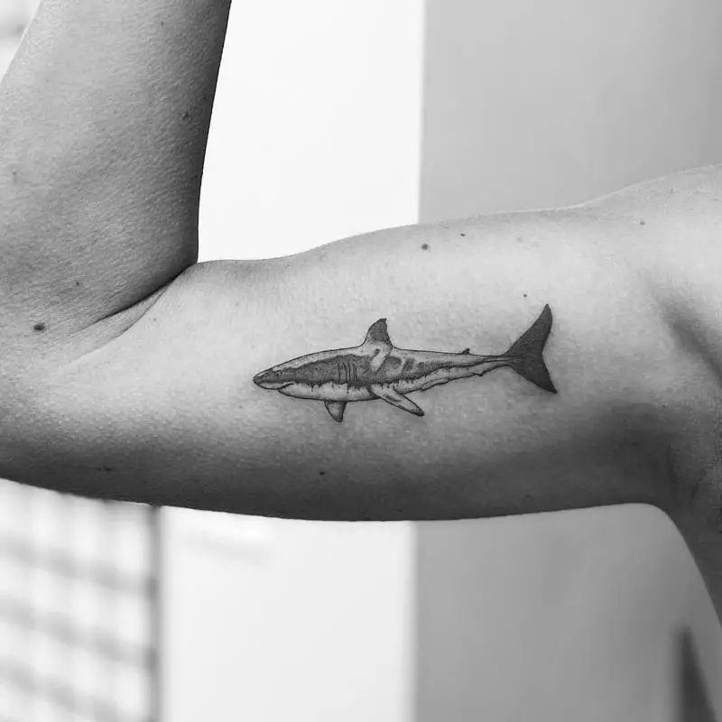 Small Realistic Shark Tattoo Design