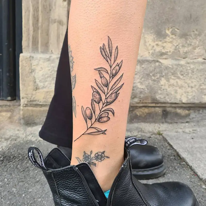 Olive Branch Tattoo Meaning